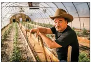  ?? (Discovery Channel/TNS) ?? Jim Belushi showcases his Oregon cannabis farm and products on his new TV show, “Growing Belushi,” which airs Wednesdays on Discovery.