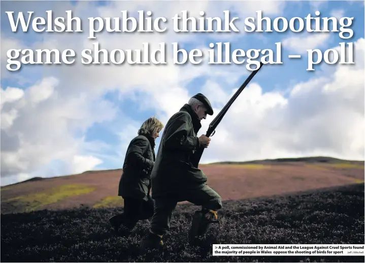  ?? Jeff J Mitchell ?? > A poll, commission­ed by Animal Aid and the League Against Cruel Sports found the majority of people in Wales oppose the shooting of birds for sport