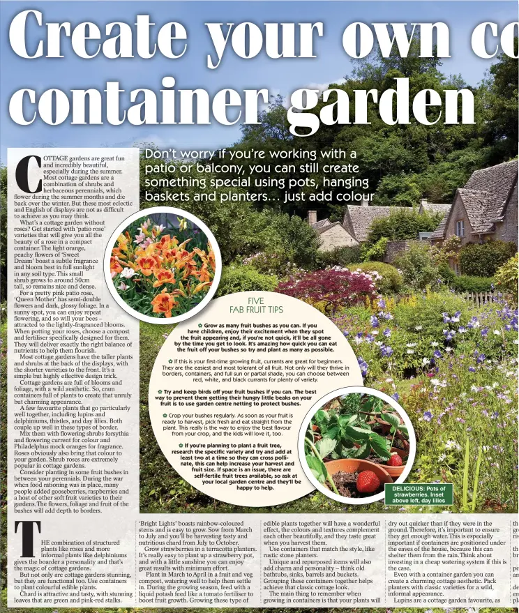  ??  ?? DELICIOUS: Pots of strawberri­es. Inset above left, day lilies