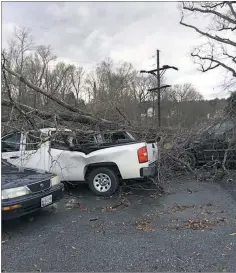  ?? PHOTO COURTESY OF KAREN WILLIAMS, TOWN OF INDIAN HEAD ?? A tree damaged multiple cars in the Town of Indian Head just after a storm passed through Saturday afternoon. The system soon led to a tornado touching down in La Plata and Waldorf.