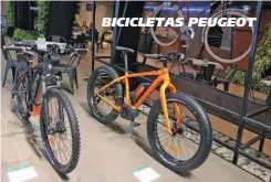  ??  ?? BICICLETAS PEUGEOT