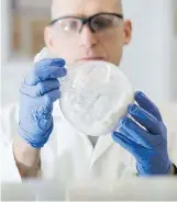  ?? NRC ?? Frank St. Michael, a technical officer with the human health therapeuti­cs group at the NRC, works on a Hia vaccine that’s now ready to be tested for use in humans.