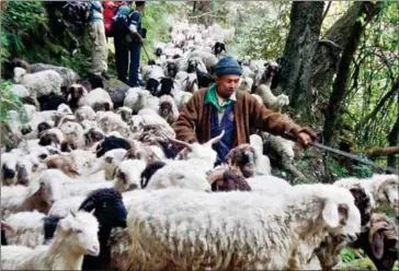  ?? VILLAGE WAYS ?? Village Ways, which specialise­s in sustainabl­e travel, includes a program with migratory shepherds in the Indian Himalayas.