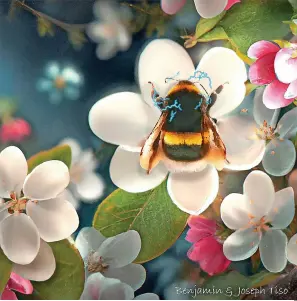  ?? University of Bristol ?? Artist’s impression­s of a bumblebee interactin­g with flowers