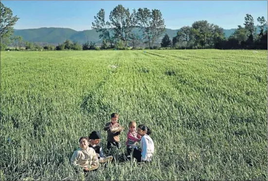  ?? DANIEL MIHAILESCU / AFP ?? Unos niños refugiados comiendo en un campo en la frontera entre Grecia y Macedonia, cerca de la población griega de Idomeni