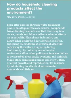 How Do Household Cleaning Products Affect the Environment  
