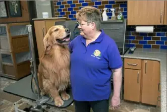  ?? Nate Guidry/Post-Gazette ?? Daniel with his owner, Tammy Tomlinson of Hillock Golden Retrievers.