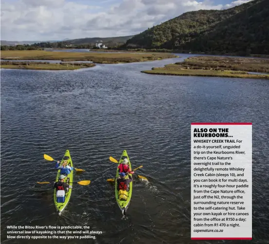  ??  ?? While the Bitou River’s flow is predictabl­e, the universal law of kayaking is that the wind will always blow directly opposite to the way you’re paddling.