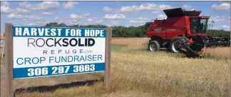  ??  ?? A combine removes a canola crop from the land of Wendell Patzer for the Harvest for Hope crop fundraiser, Aug. 31.