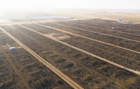  ?? George Steinmetz / New York Times ?? Scientists say cattle — seen here in Tulia, Texas — are responsibl­e for 18% of greenhouse gases causing global warming.