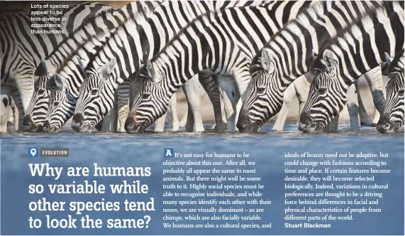 Why are humans so variable while other species tend to look the same? -  PressReader