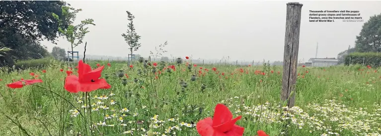  ?? ED SCRAGG/ STUFF ?? Thousands of travellers visit the poppydotte­d grassy slopes and farmhouses of Flanders, once the trenches and no man’s land of World War I.