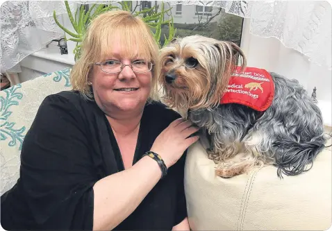  ??  ?? Lovable Milly, a Yorkshire Terrier, is a genuine lifesaver as she can sense when diabetic Yvonne Nicholson is at risk.