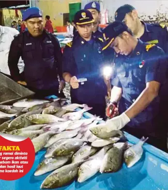  ??  ?? ANGGOTA PPM dan Jabatan Perikanan melakukan operasi pemeriksaa­n bagi mengesan ikan yang ditangkap menggunaka­n kaedah bom ikan di Pasar Besar Safma di Kota Kinabalu.