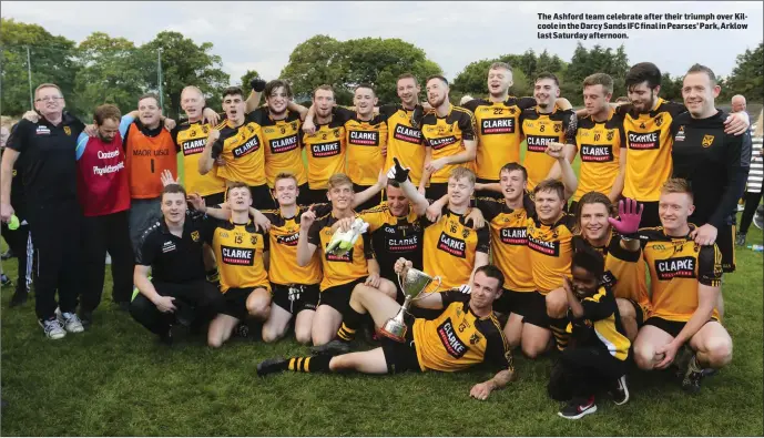  ??  ?? The Ashford team celebrate after their triumph over Kilcoole in the Darcy Sands IFC final in Pearses’ Park, Arklow last Saturday afternoon.