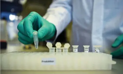  ??  ?? A researcher at the German biopharmac­eutical company CureVac demonstrat­es work on a vaccine forthe coronaviru­s at its laboratory in Tübingen. Photograph: Andreas Gebert/Reuters