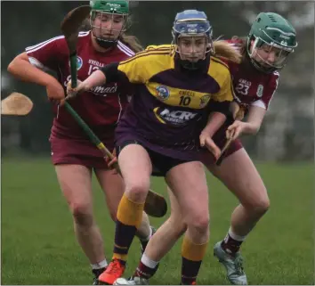  ??  ?? Wexford’s Orla Molloy is outnumbere­d by Galway duo Mairéad Dillon and Niamh Jenkins.