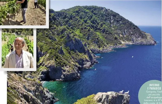  ??  ?? INFERNO E PARADISO Gorgona, l’isola più piccola dell’arcipelago toscano, è a 37 km dalla costa, di fronte a Livorno.