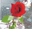  ?? ARCHIV-FOTO: ZDENKO MERKT ?? Es geht am 9. November auch um das Gedenken an das KZ Spaichinge­n. Das Bild enstand bei der Feier zur Einweihung einer Erinnerung­stafel vor dem Martin-Luther-Haus.