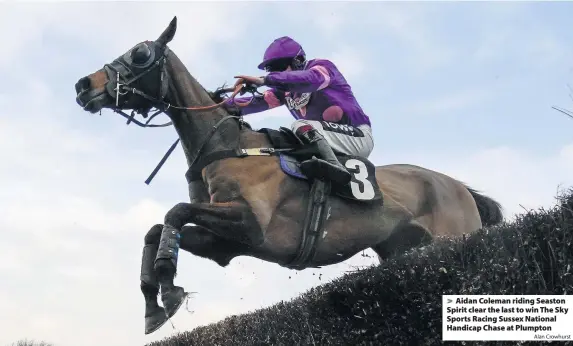  ?? Alan Crowhurst ?? Aidan Coleman riding Seaston Spirit clear the last to win The Sky Sports Racing Sussex National Handicap Chase at Plumpton