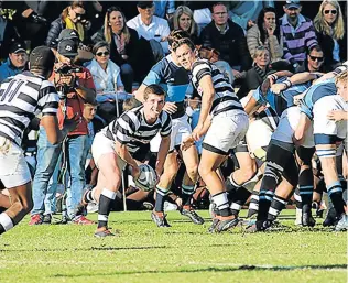  ?? Picture: SUPPLIED ?? FEISTY: Selborne’s Mntungwa Mapantsela on the drive against St Andrew’s College earlier this year