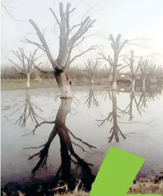  ?? / CORTESÍA ?? Huertas necesitan grandes volúmenes de agua, por lo que la esperanza son lluvias oportunas