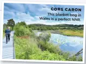  ??  ?? CORS CARON This blanket bog in Wales is a perfect NNR.