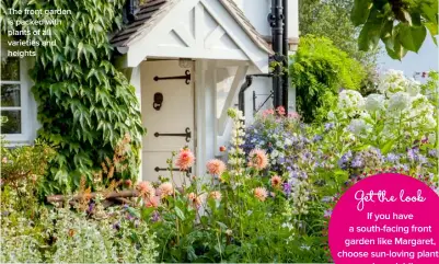 ??  ?? Get the look If you have a south-facing front garden like Margaret, choose sun-loving plants such as dahlias and lupins.