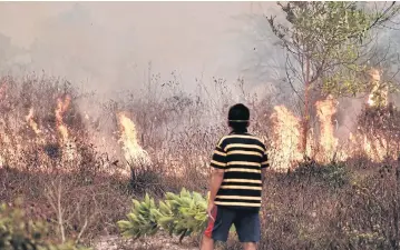  ?? AFP ?? A villager looks at a peatland fire on the outskirts of Palangkara­ya city, Central Kalimantan, Indonesia, in October. Efforts are under way to stop the land clearance.