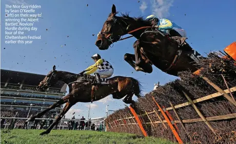  ?? ?? The Nice Guy ridden by Sean O’keeffe (left) on their way to winning the Albert Bartlett Novices’ Hurdle during day four of the Cheltenham Festival earlier this year