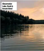  ??  ?? Shearwater Lake. Dusk is bream time!