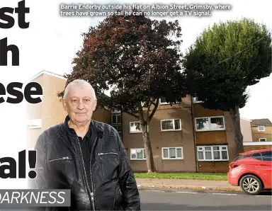  ?? ?? Barrie Enderby outside his flat on Albion Street, Grimsby, where trees have grown so tall he can no longer get a TV signal.