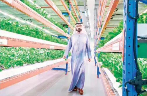  ?? WAM ?? ±
Sheikh Mohammed tours the world’s largest vertical farm in Dubai.