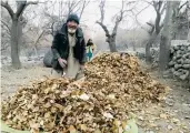  ?? Supplied ?? An elderly man stands next to a heap of dried leaves in Garbong village of Khaplu valley.