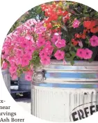  ?? CHRIS KOHLEY MILWAUKEE JOURNAL SENTINEL ?? This planter overflows with petunias and dragon wing begonias. Freeland Industries supplies the Wisconsin State Fair with hundreds of stock tanks to hold flowers.