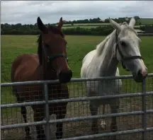  ??  ?? Fayonagh (left) and friend on a well-earned summer holiday.