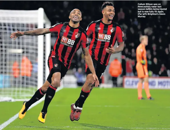  ??  ?? Callum Wilson was on Newcastle’s radar last season before being injured but is now fully fit again. (Far left) Brighton’s Glenn Murray