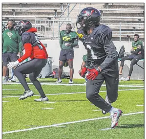  ?? Vegas Vipers ?? A successful season with the Knighthawk­s of the Indoor Football League landed defensive back Mister Harriel an opportunit­y with the Vipers.