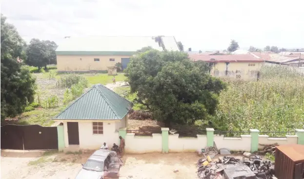  ?? Photo: Taiwo Adeniyi ?? The fertilizer warehouse has been turned into a farmland