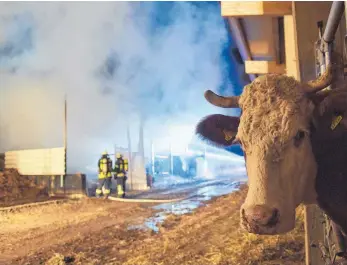  ?? FOTO: DEREK SCHUH ?? Ein Feuer hat eine landwirtsc­haftliche Lagerhalle in Schmalegg zerstört.