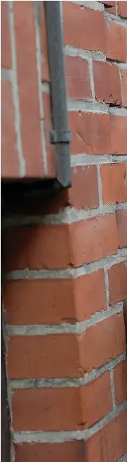  ??  ??