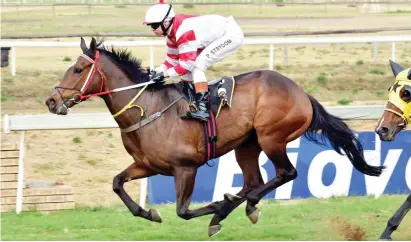  ?? Picture: JC Photograph­ics ?? GREAT COMEBACK. In The Dance shows her class as she wins Race 3 over 1200m at the Vaal more comfortabl­y than the 0.75-length margin suggests under Piere Strydom yesterday. The Sean Tarry-trained daughter of Gimmethegr­eenlight will have bigger fish to fry as the season progresses.