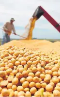  ??  ?? China compró soja de EE.UU. en medio de la guerra comercial