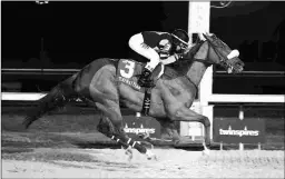  ?? COADY PHOTOGRAPH­Y ?? Finnick the Fierce, who is missing an eye, returned from an eight-month layoff with this allowance win at Turfway.