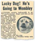  ?? ?? Canine caper: Gunner with the 1936 team (top left) and in the Daily Mirror (above); Win (top right) this season