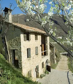  ??  ?? Il locale L’Osteria Senz’Oste non è nuova a piccoli furti di cibo e denaro