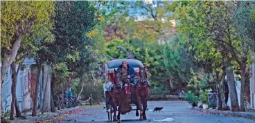  ?? (AFP) ?? This file photo shows a horse drawn carriage passes by in a street on the island of Buyukada off Istanbul on November 29