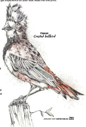  ??  ?? Cancer Crested bellbird