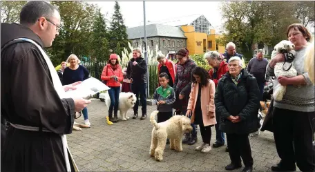  ??  ?? Fr Antony OFM Blessing of the Animals at the Franciscan Friary on Sunday afternoon. Photo by Michelle Cooper Galvin