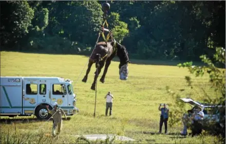  ?? PETE BANNAN — DIGITAL FIRST MEDIA ?? An 1,800-pound Clydesdale gelding horse became stuck in mud and fell to its side at Thornbury Farm Stables Wednesday.